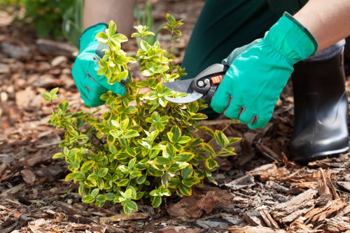 Electric low-emission van used by garden maintenance crew in East London