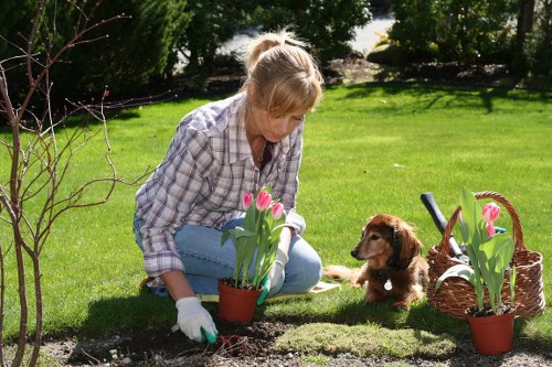 Before-and-after images of a Newham garden transformed by landscaping and mowing