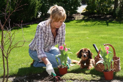 Satisfied homeowner enjoying their pristine Newham lawn
