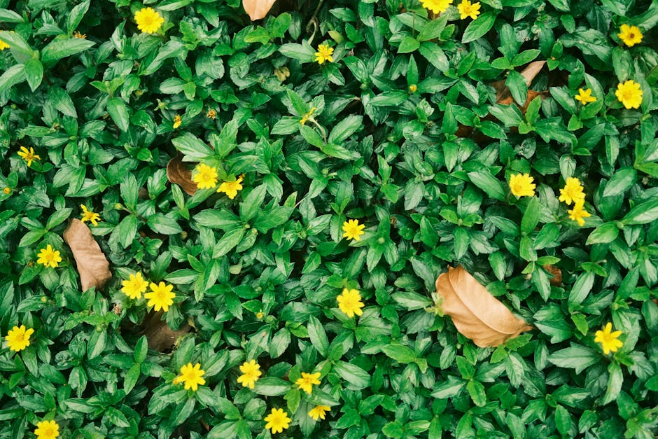 A lush, well-maintained garden scene featuring a neatly clipped green lawn with a gentle curve, bordered by vibrant flower beds filled with colorful blooms including pinks, oranges, and purples. Tall 