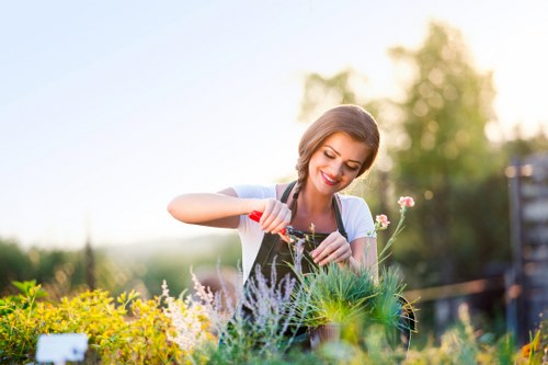 Healthy grass after sustainable lawn care practices